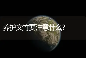 养护文竹要注意什么？