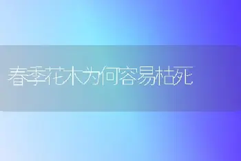 春季花木为何容易枯死