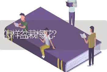 怎样盆栽梅花?