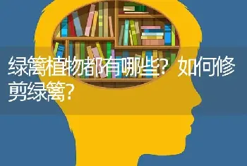 绿篱植物都有哪些？如何修剪绿篱？