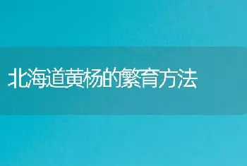 北海道黄杨的繁育方法