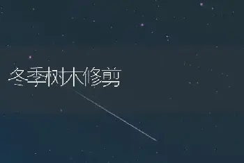 冬季树木修剪