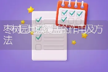 枣树园地膜覆盖的作用及方法