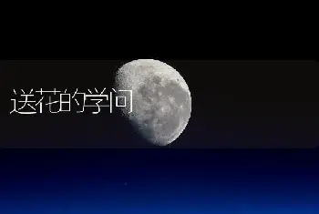 送花的学问