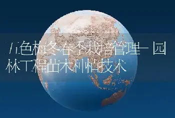 五色梅冬春季栽培管理-园林工程苗木种植技术