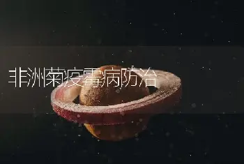 玫瑰的栽培管理