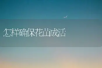 怎样确保花苗成活