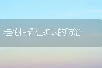 桂花柑橘红蜘蛛的防治