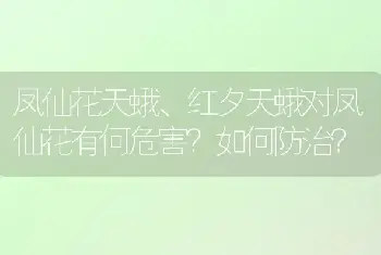 凤仙花天蛾、红夕天蛾对凤仙花有何危害？如何防治？