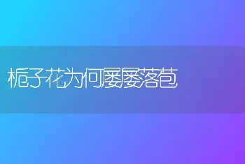 果树抓秋管来年好丰产