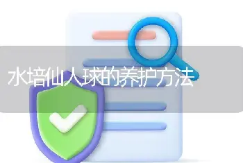 水培仙人球的养护方法