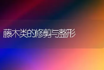 藤木类的修剪与整形