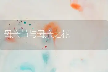 怎样栽培吊盆金鱼花