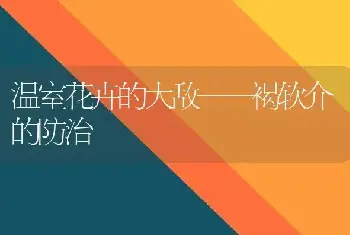 温室花卉的大敌——褐软介的防治