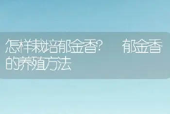 怎样栽培郁金香? 郁金香的养殖方法