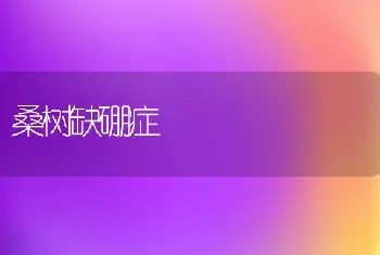 桑树缺硼症