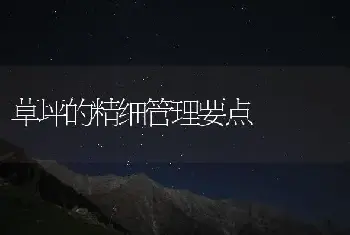 草坪的精细管理要点