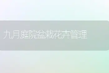 九月庭院盆栽花卉管理