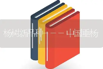 杨树新品种---中国垂杨