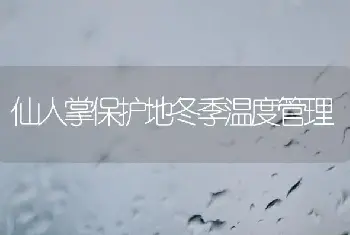 仙人掌保护地冬季温度管理