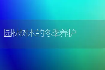 园林树木的冬季养护