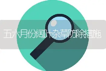 五六月份阔叶杂草防除措施