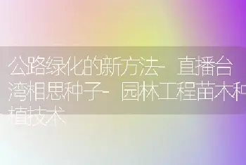 公路绿化的新方法-直播台湾相思种子-园林工程苗木种植技术