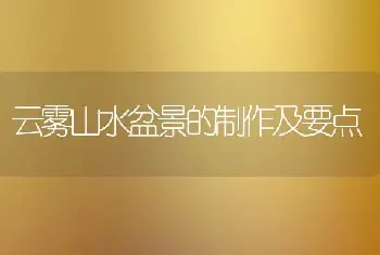 云雾山水盆景的制作及要点