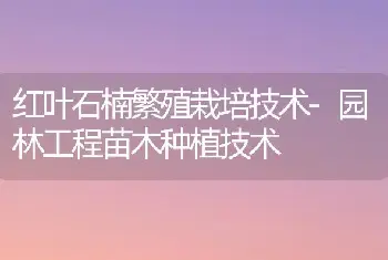 绿萝的栽培管理-花卉苗木养护管理