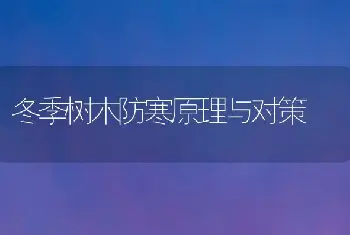 冬季树木防寒原理与对策