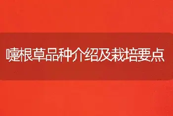 嚏根草品种介绍及栽培要点