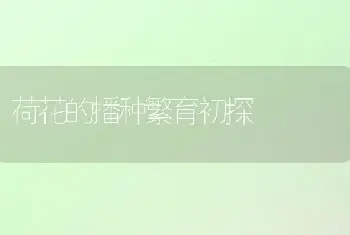 从外表判断花卉缺素症