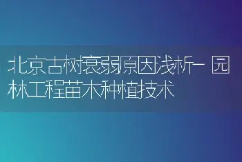 北京古树衰弱原因浅析-园林工程苗木种植技术