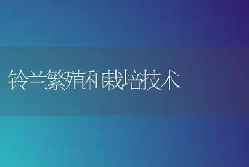 铃兰繁殖和栽培技术