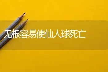 无根容易使仙人球死亡