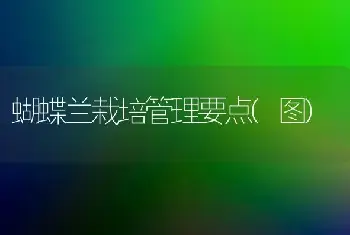 蝴蝶兰栽培管理要点(图)