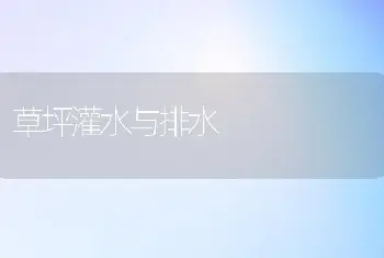 草坪灌水与排水