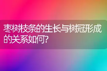 枣树枝条的生长与树冠形成的关系如何？