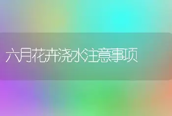 六月花卉浇水注意事项