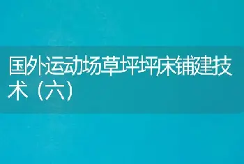 国外运动场草坪坪床铺建技术（六）