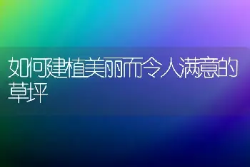 如何建植美丽而令人满意的草坪