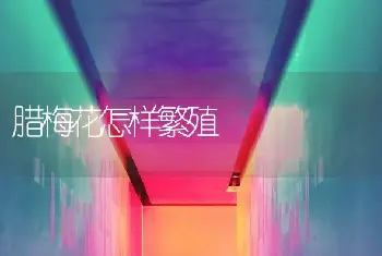 腊梅花怎样繁殖