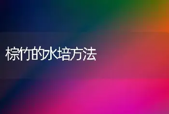 棕竹的水培方法