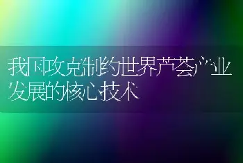 我国攻克制约世界芦荟产业发展的核心技术