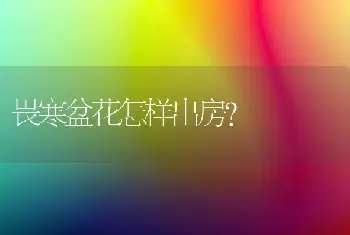 畏寒盆花怎样出房？