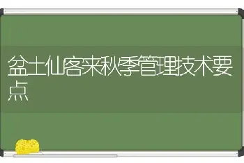 盆土仙客来秋季管理技术要点