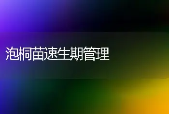 泡桐苗速生期管理