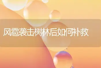 风雹袭击树林后如何补救