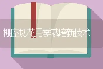 棚室切花月季栽培新技术