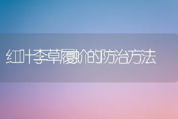 红叶李草履蚧的防治方法